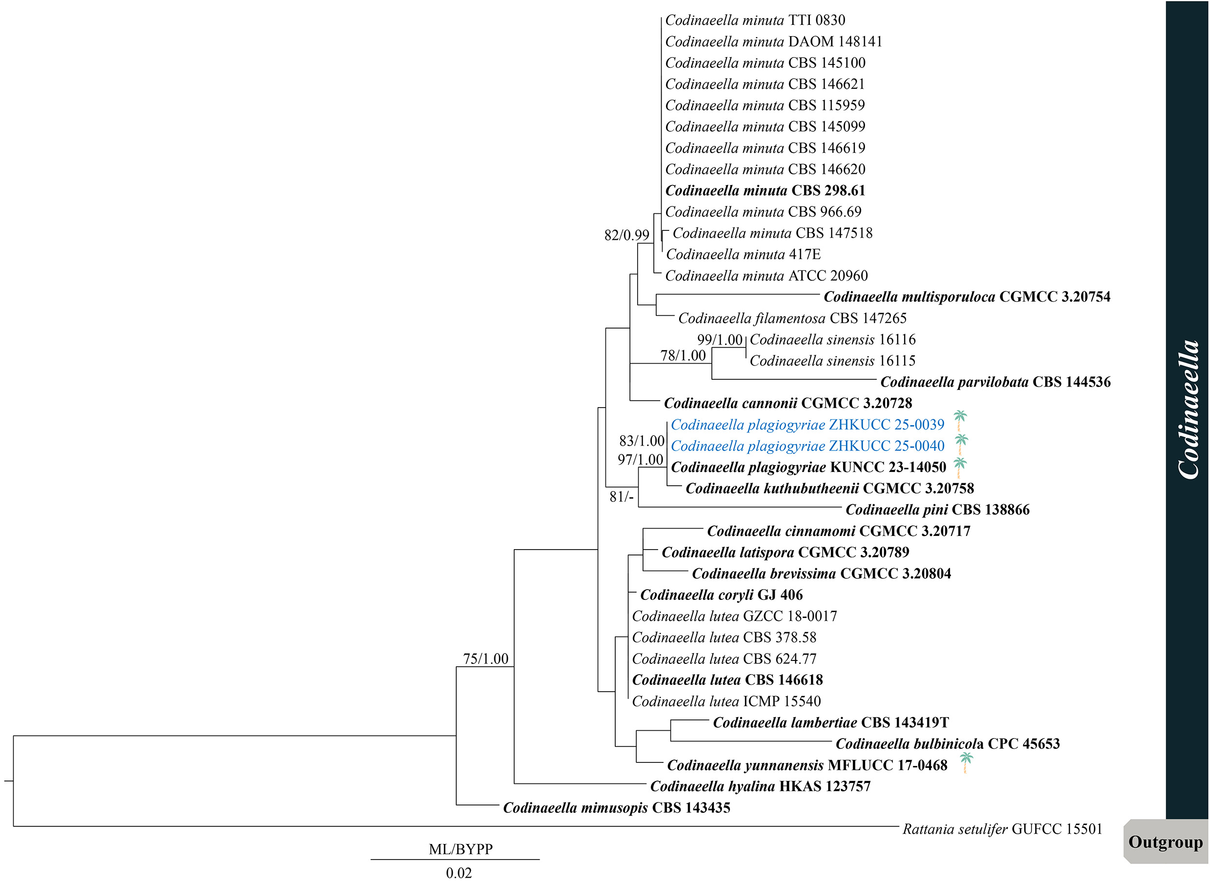 Figure 67